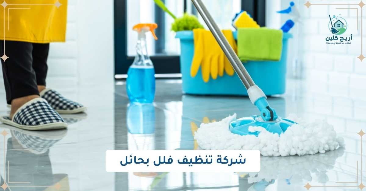 شركة تنظيف فلل بحائل